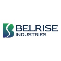 Belrise Industries (formerly Badve Engineering) Logo