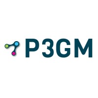 P3 Global Management Inc. Logo