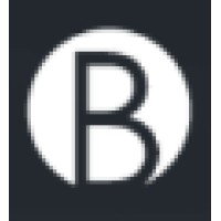 Bereano Partners Logo