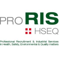proRIS Consultants Group Logo