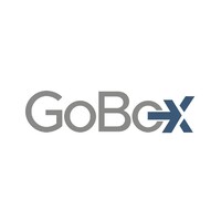 GoBox S.R.L. Logo