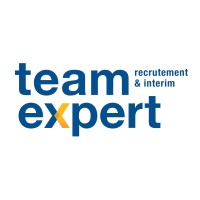 TEAMEXPERT Logo
