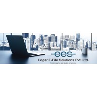 EDGAR EFILE SOLUTIONS PRIVATE LIMITED Logo