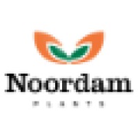 Noordam Plants Logo