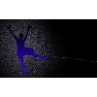 Dancing Arts Academy Logo