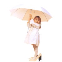 BALKAN INSURANCE BROKERS Logo