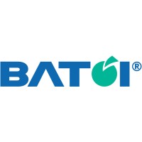 Batoi Systems Logo