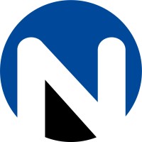 Netree AG - IT Consultants Logo