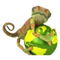 Chameleon School of Construction Ltd Logo