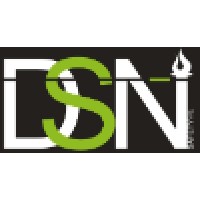 DSN Safety inc. Logo