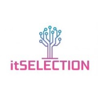 IT SELECTION WORLD LLC Logo
