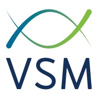 VSM Engineering, LLC Logo