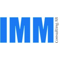 IMM Consulting Logo
