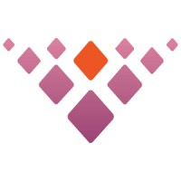 Visulon Inc. Logo