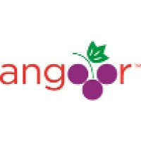 Angooor.com Logo