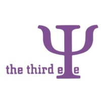 The Third Eye Integrated Services Logo