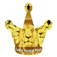 Faster Stronger Wiser LLC Logo
