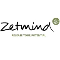 ZetMind Logo