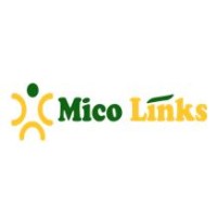 MICOLINKS SERVICES INDIA PRIVATE LIMITED Logo