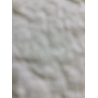 Bentoel Group - A Member of British American Tobacco Logo