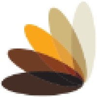 Vidia Services Logo