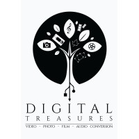 Digital Treasury Group Logo