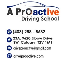 A Proactive Driving School and Traffic Safety Consulting Ltd. Logo