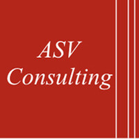 ASV Consulting - Human Management ASV 3000 SL Logo