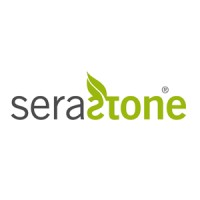 Serastone Tecnología Logo