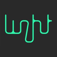LIGHT VISUAL EFFECTS Logo