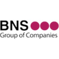 BNS Group of Companies Logo