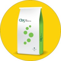 CBS Logo