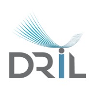 DAMODAR ROPEWAYS & INFRA LIMITED Logo