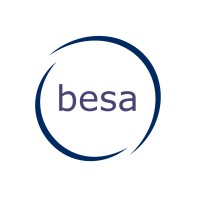 Besa Global Logo