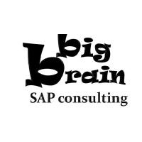 Big Brain SAP Consulting Logo