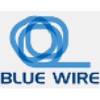 Blue Wire Logo
