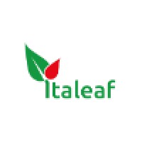 Italeaf S.p.A. Logo