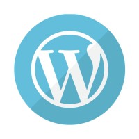 VEfusion Logo