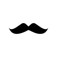 Stash Logo