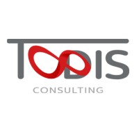 Todis Consulting Logo