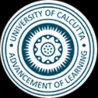 Institute of Radio Physics and Electronics Logo
