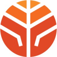 CopperTree Analytics Logo