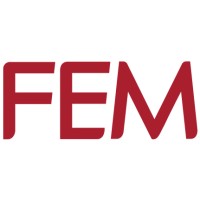 FEM Holdings Logo