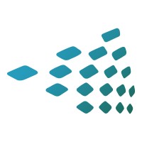 Telemetric Logo