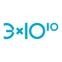 3x1010 s.r.l. Logo