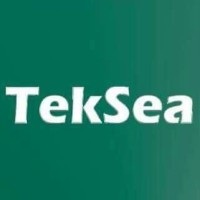 TEKSEA Logo