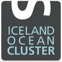 Iceland Ocean Cluster Logo