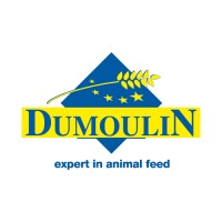 Dumoulin NV Logo