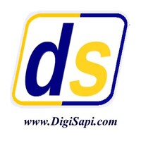 DigiSapi Technologies India Private Limited Logo