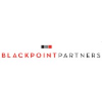 BlackPoint Partners Logo